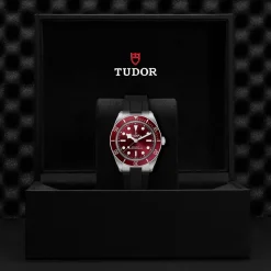Tudor Black Bay 58 Clearance