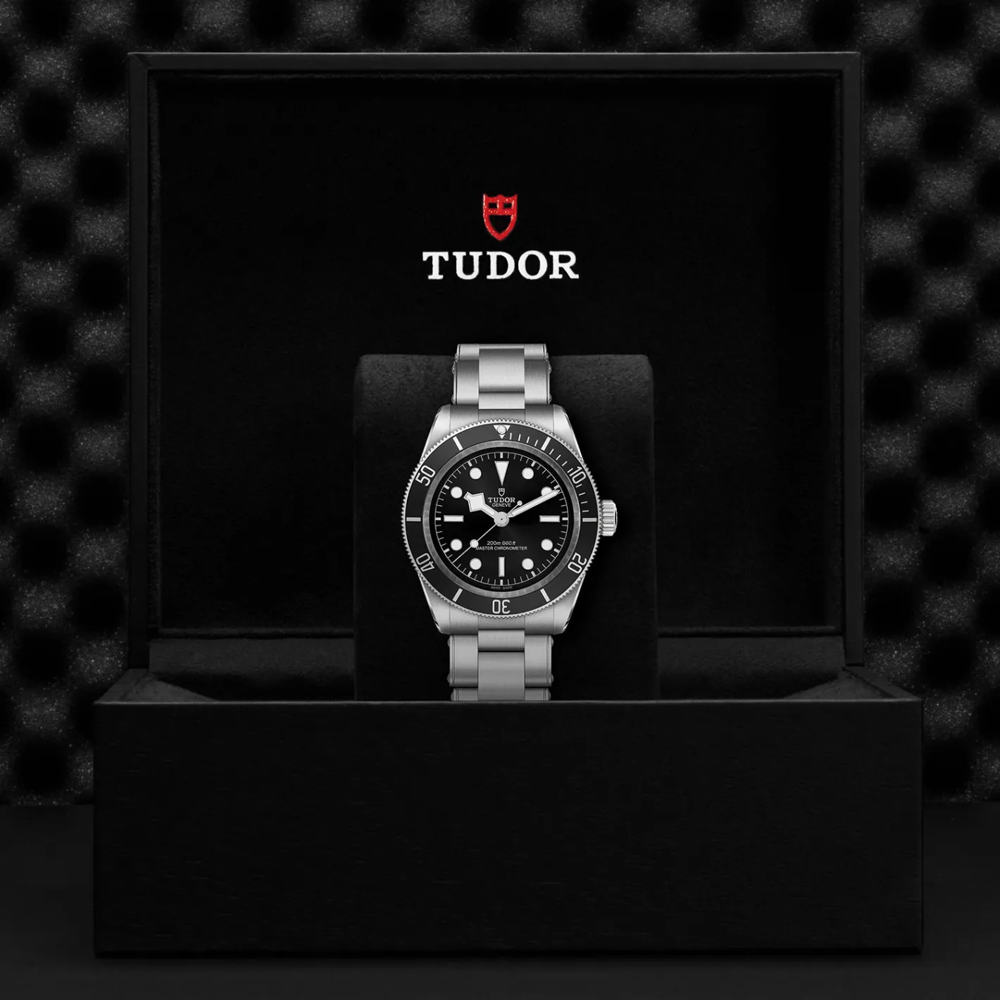 Tudor Black Bay Outlet