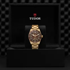 Tudor Black Bay 58 Bronze Sale