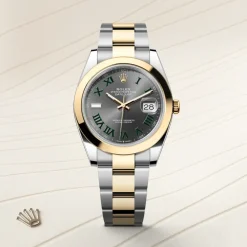 Rolex Datejust 41 Rolesor amarillo —combinación de acero Oystersteel y oro amarillo Outlet