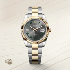 Rolex Datejust 41 Rolesor amarillo —combinación de acero Oystersteel y oro amarillo Discount