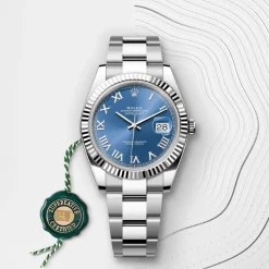 Rolex Datejust 41 Rolesor blanco —combinación de acero Oystersteel y oro blanco Hot