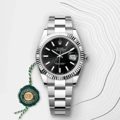 Rolex Datejust 41 Rolesor blanco —combinación de acero Oystersteel y oro blanco Clearance