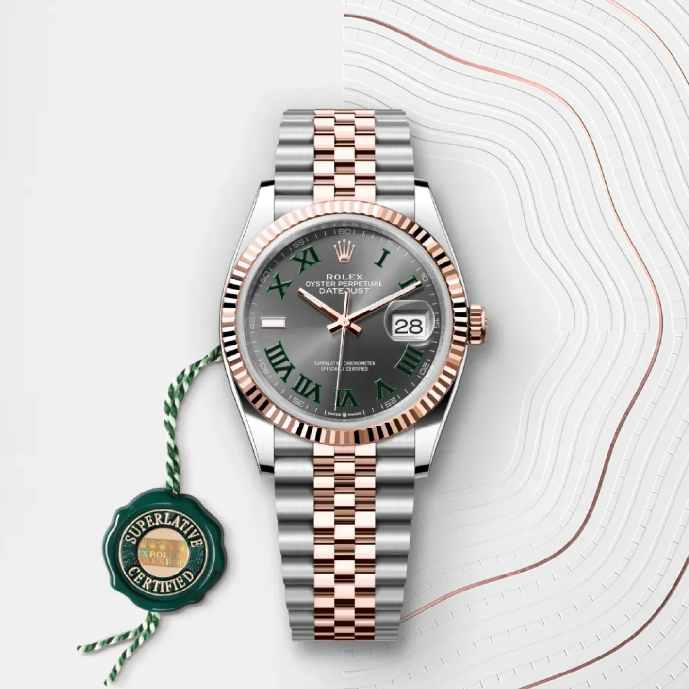 Rolex Datejust 36 Rolesor Everose —combinación de acero Oystersteel y oro Everose Hot
