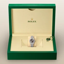 Rolex Lady-Datejust Oro blanco de 18 quilates Hot