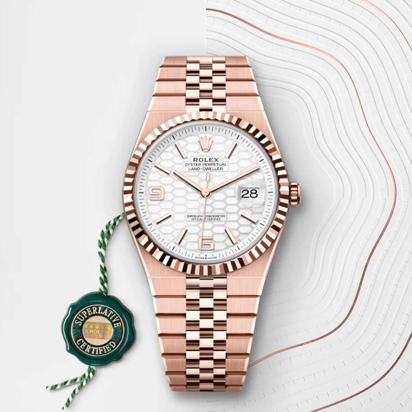 Rolex Land-Dweller 40 Oro Everose de 18 quilates Online