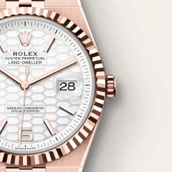Rolex Land-Dweller 40 Oro Everose de 18 quilates Online