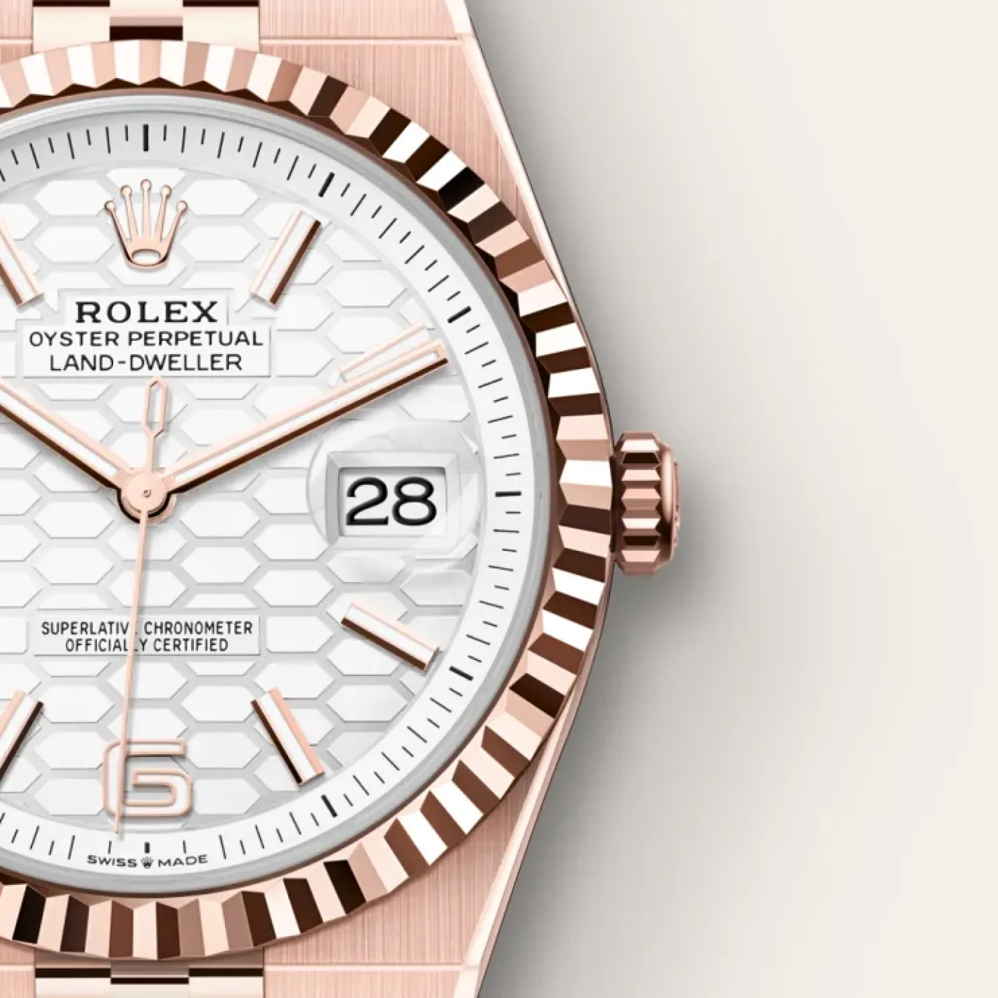 Rolex Land-Dweller 40 Oro Everose de 18 quilates Online