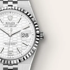 Rolex Land-Dweller 36 Rolesor blanco —combinación de acero Oystersteel y oro blanco Fashion