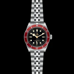 Tudor Black Bay Hot