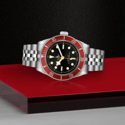 Tudor Black Bay Hot