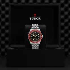 Tudor Black Bay Hot