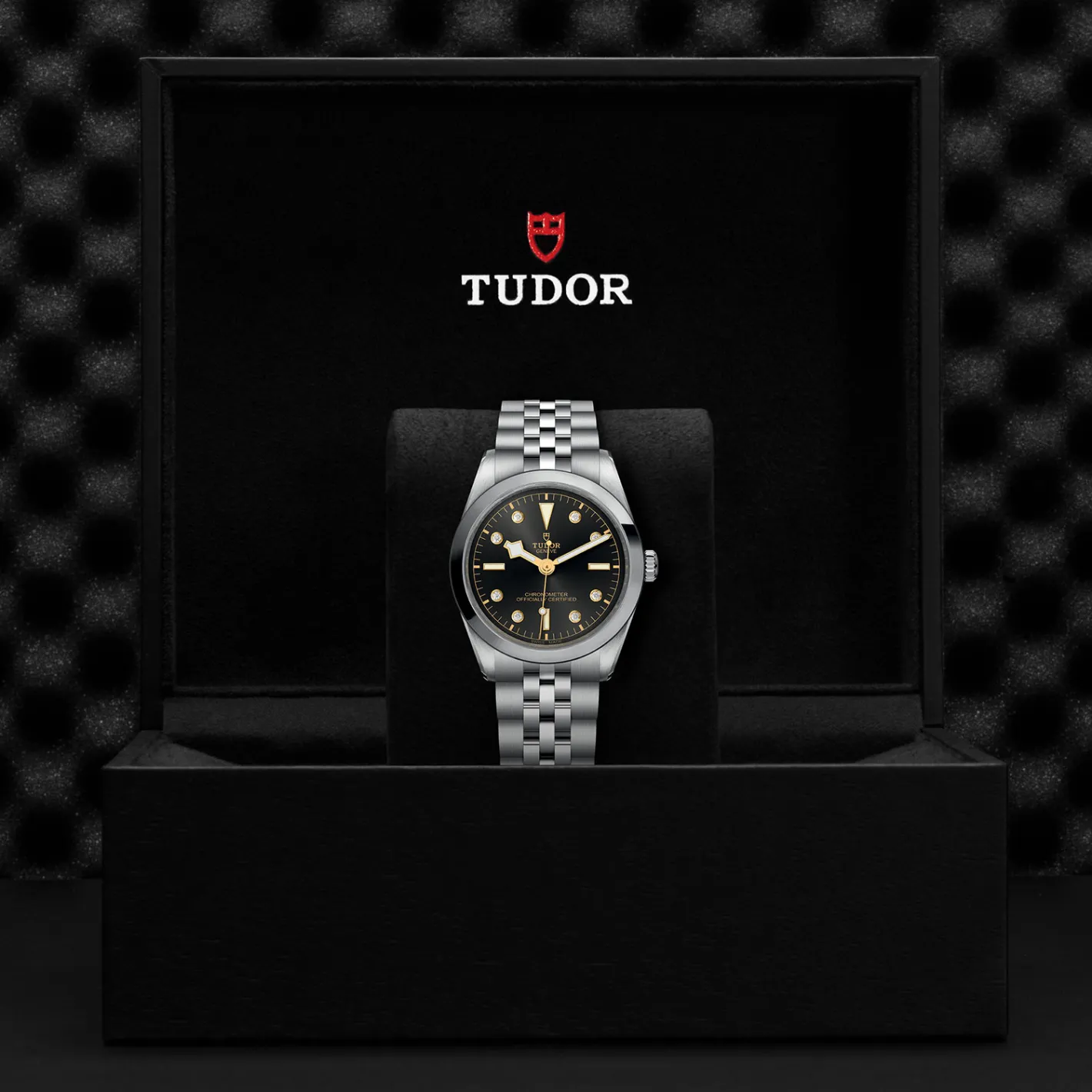 Tudor Black Bay 36 Discount
