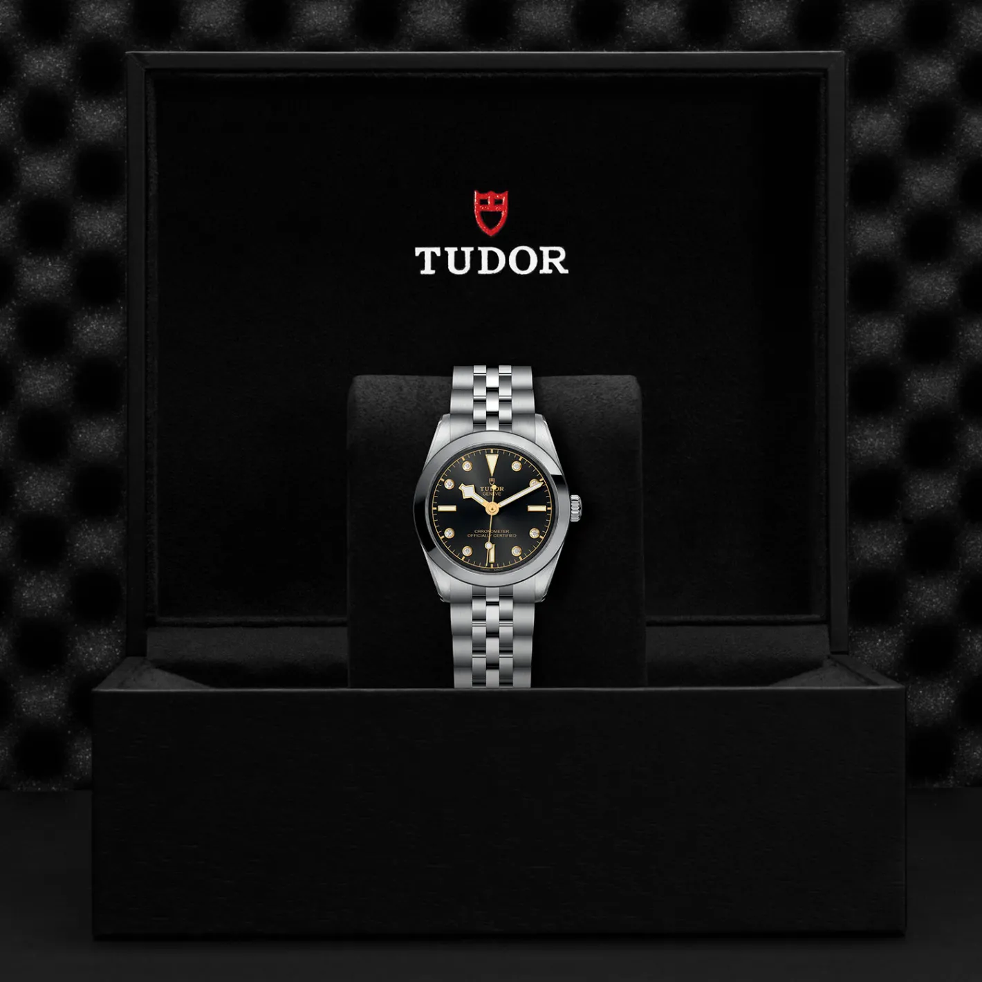 Tudor Black Bay 31 New