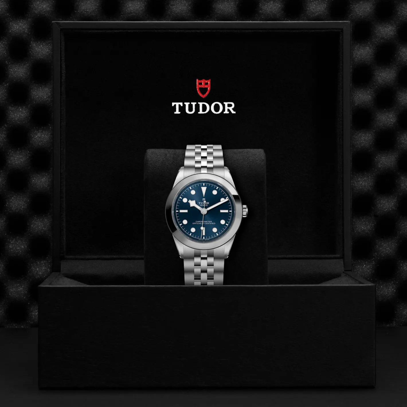 Tudor Black Bay 39 Online