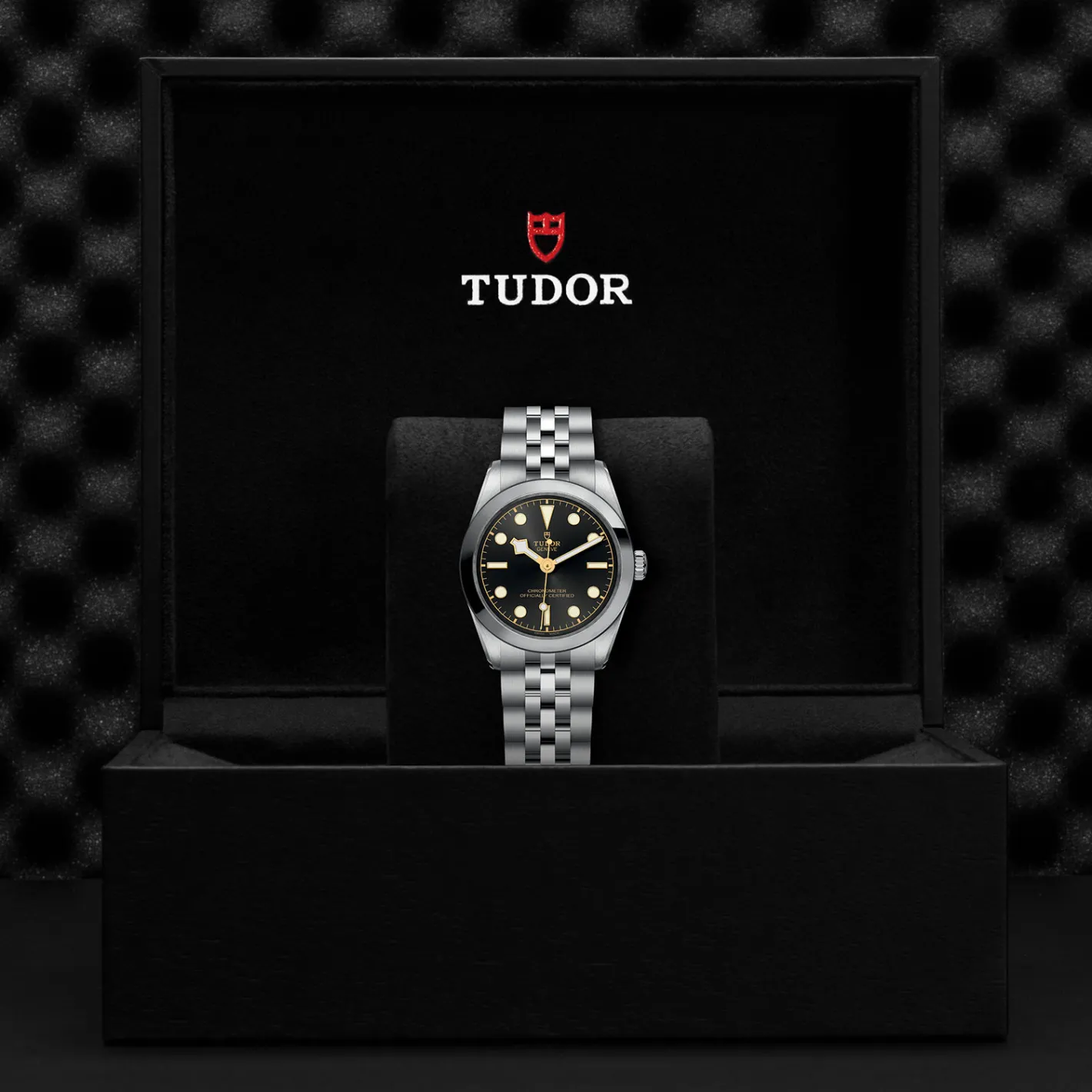Tudor Black Bay 31 Discount