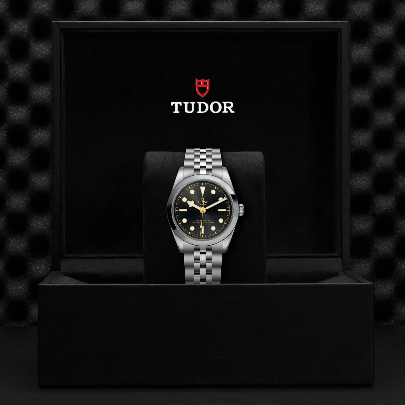 Tudor Black Bay 36 Discount