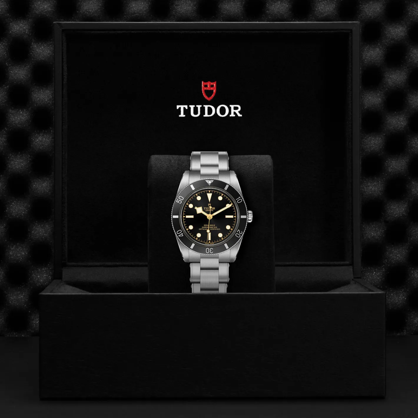 Tudor Black Bay 54 Fashion