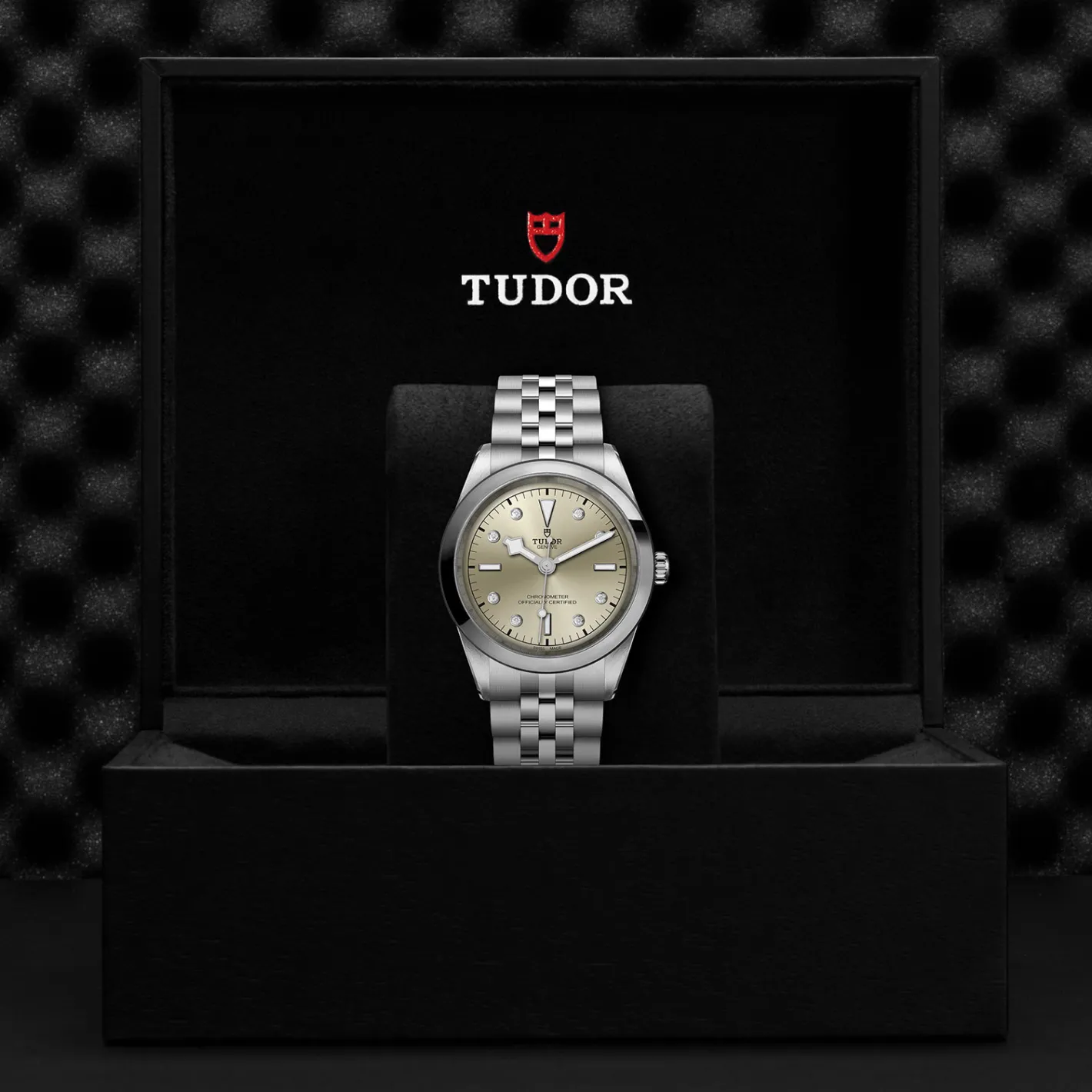 Tudor Black Bay 41 Hot
