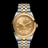 Tudor Black Bay 41 S&G Hot