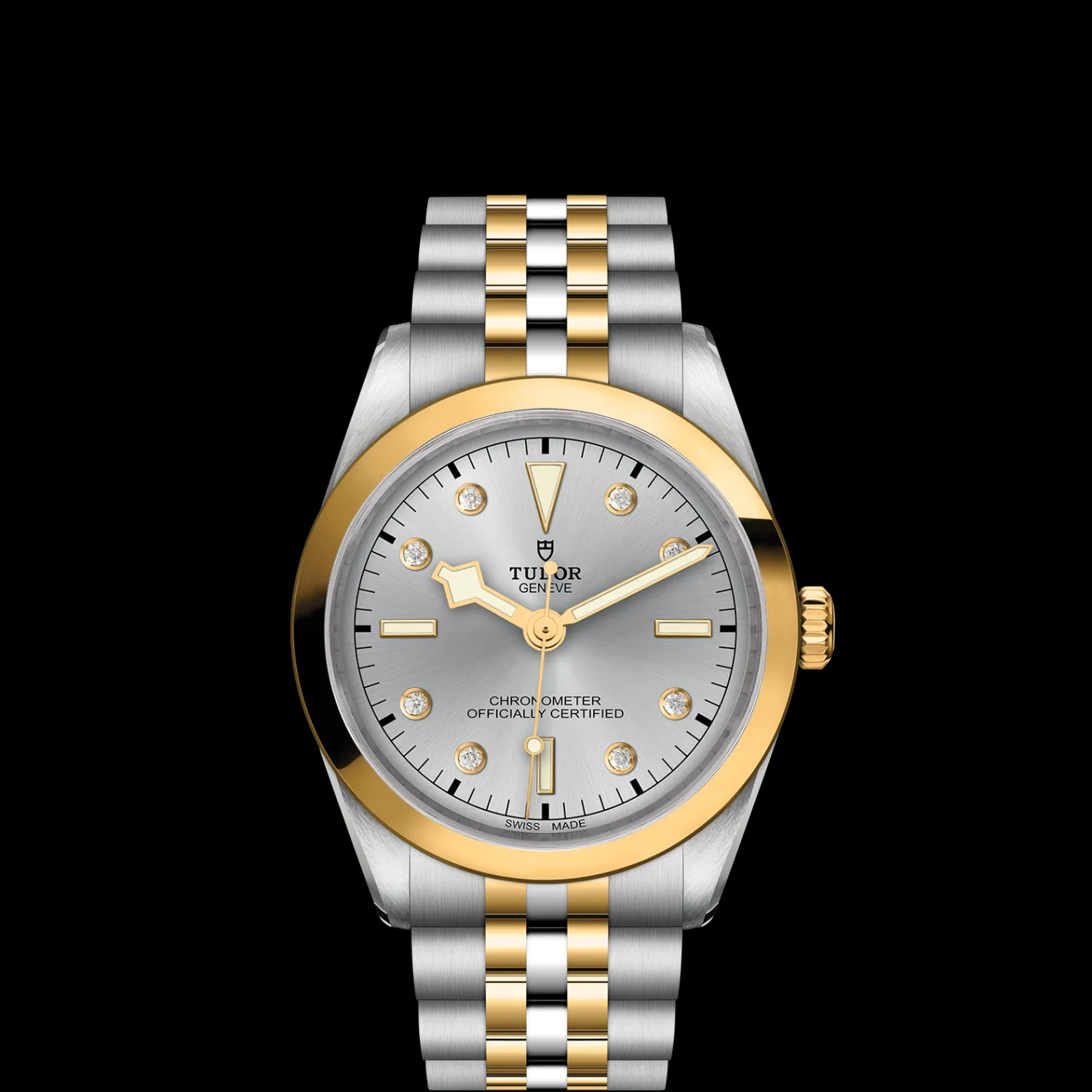 Tudor Black Bay 36 S&G Online