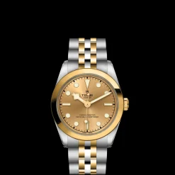 Tudor Black Bay 31 S&G Online
