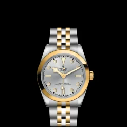 Tudor Black Bay 31 S&G Discount
