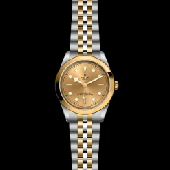 Tudor Black Bay 41 S&G Hot