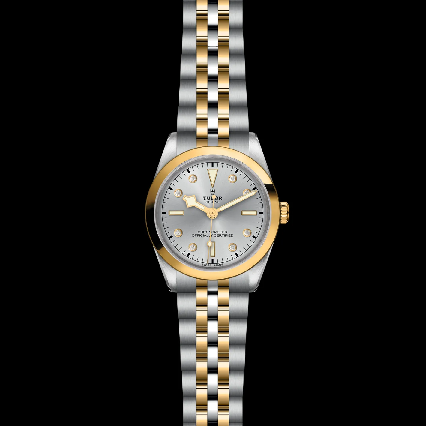 Tudor Black Bay 36 S&G Online