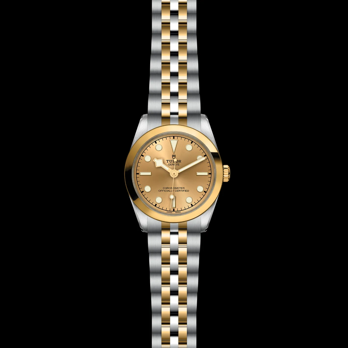Tudor Black Bay 31 S&G Online
