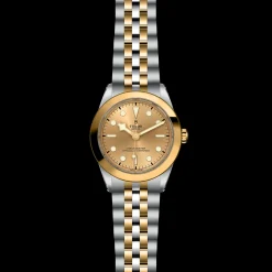 Tudor Black Bay 39 S&G Online