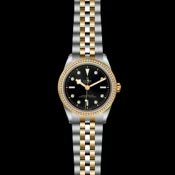 Tudor Black Bay 39 S&G New