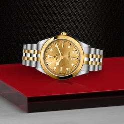 Tudor Black Bay 41 S&G Hot