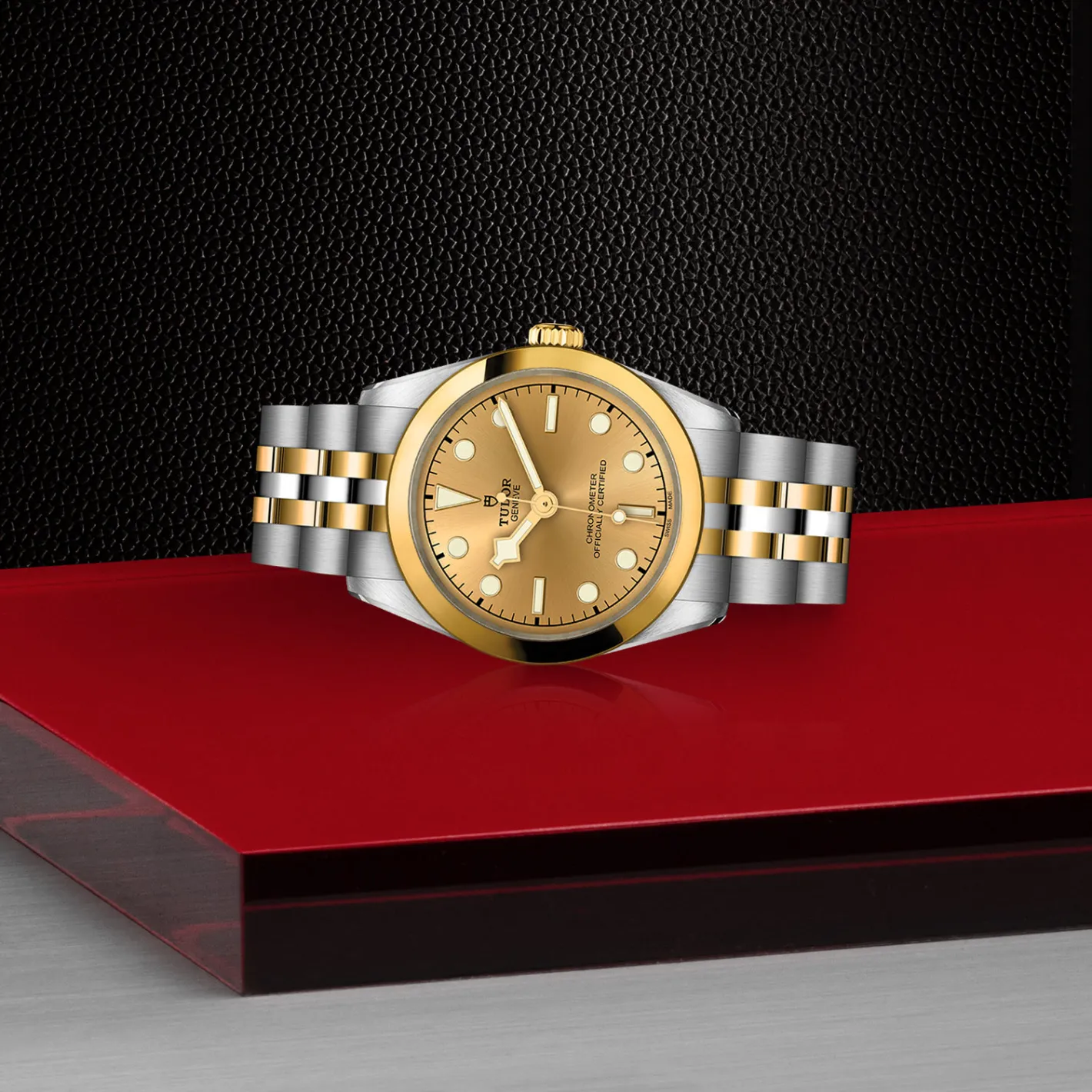 Tudor Black Bay 31 S&G Online