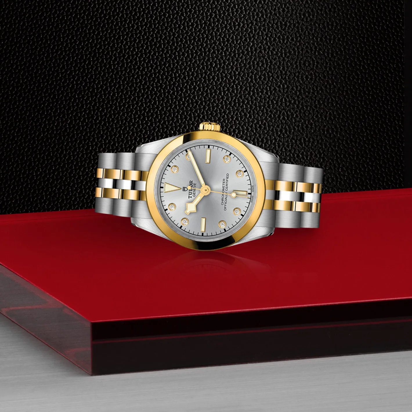 Tudor Black Bay 31 S&G Discount