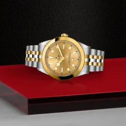 Tudor Black Bay 39 S&G Online