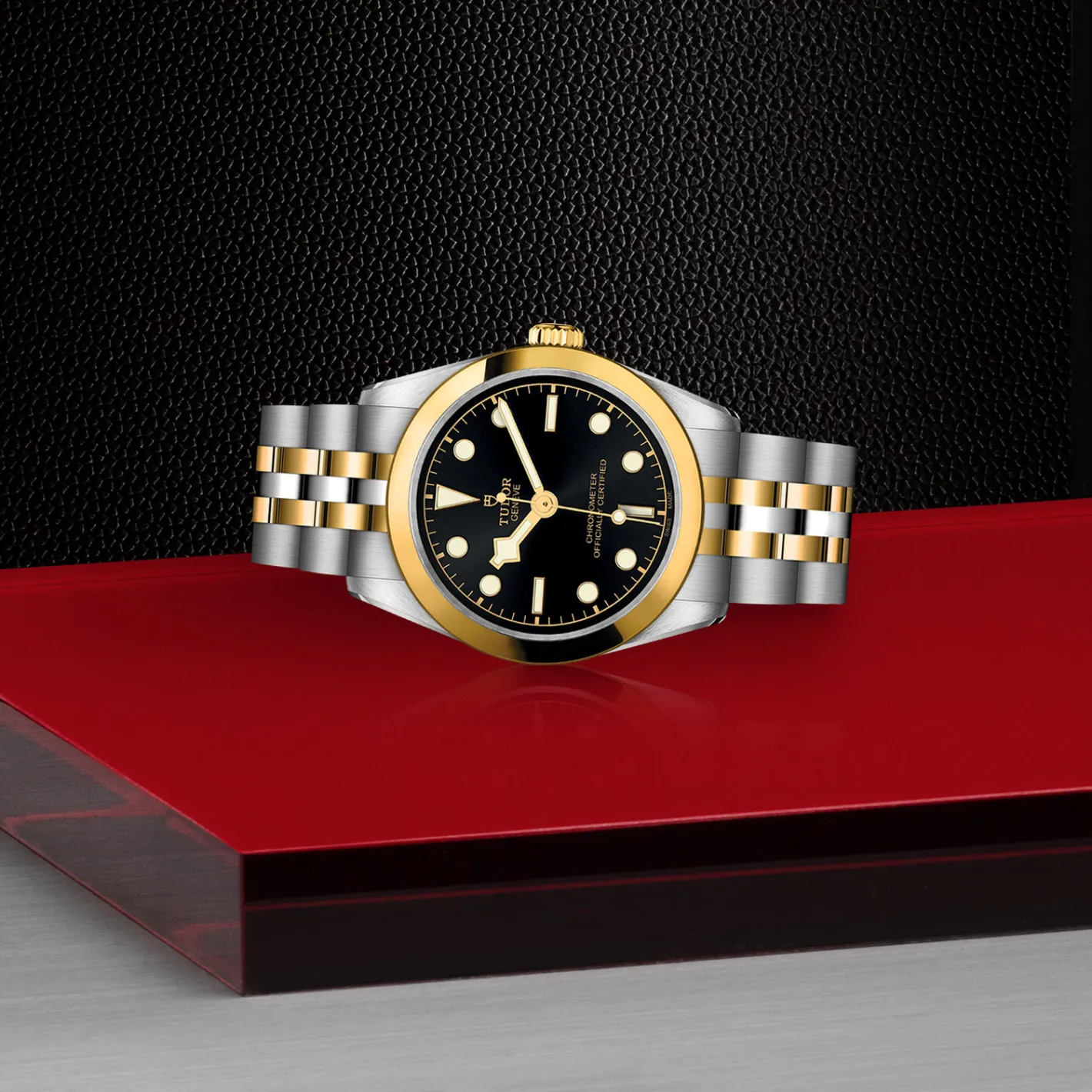 Tudor Black Bay 31 S&G Hot