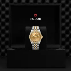 Tudor Black Bay 36 S&G Online