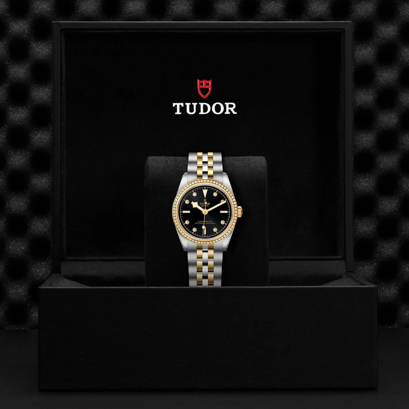 Tudor Black Bay 31 S&G Outlet