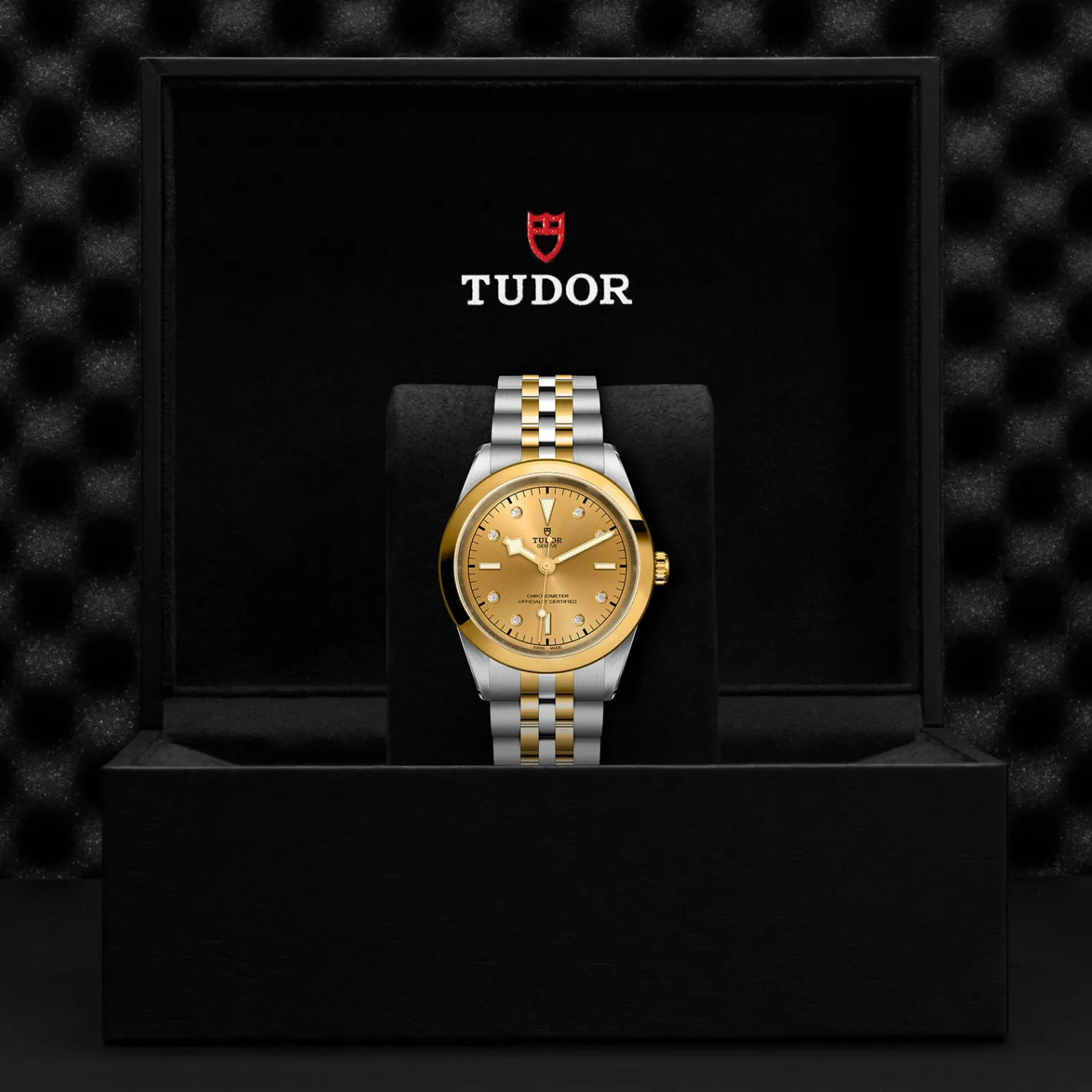 Tudor Black Bay 41 S&G New