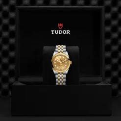 Tudor Black Bay 31 S&G Online