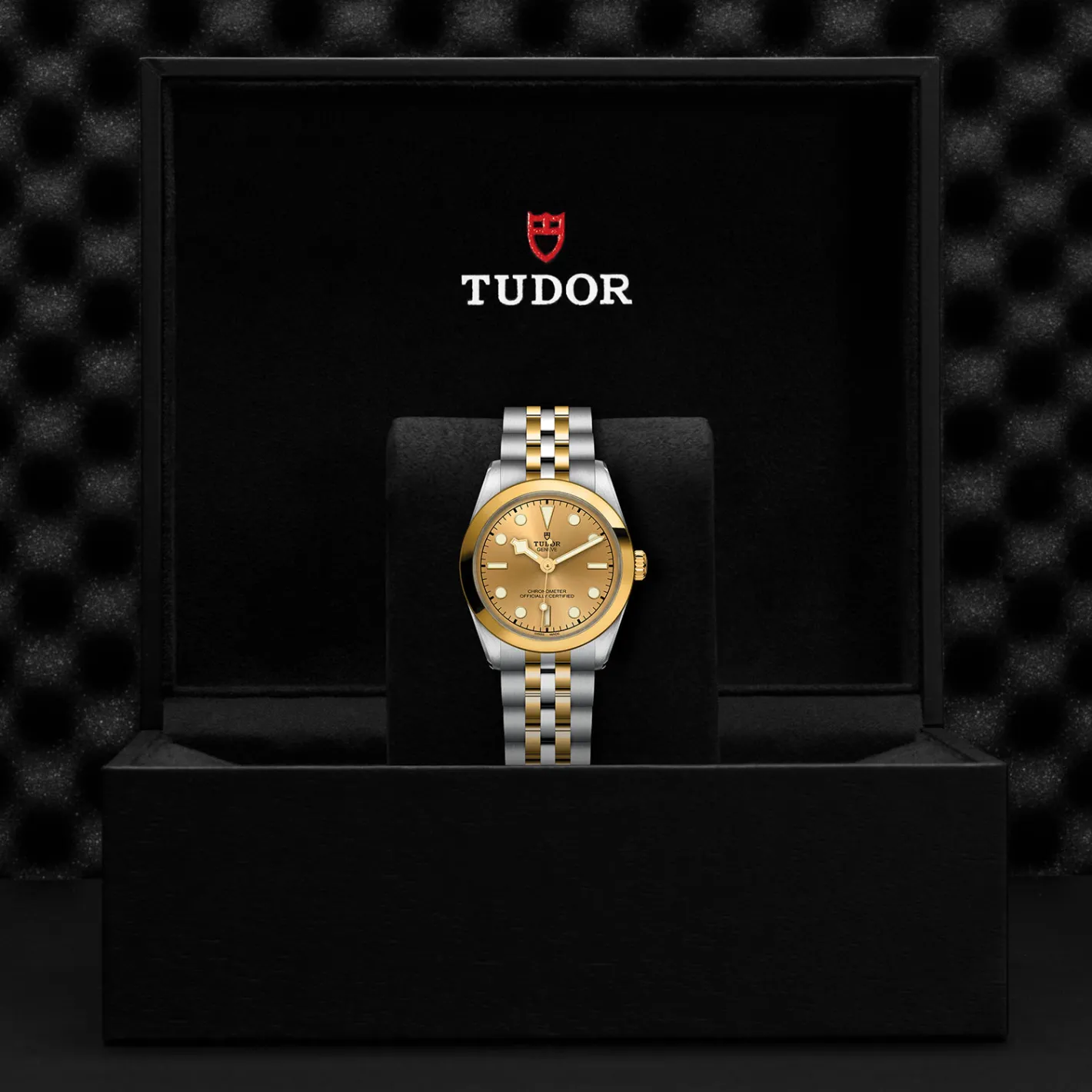 Tudor Black Bay 31 S&G Online