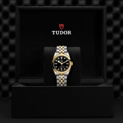 Tudor Black Bay 31 S&G Outlet