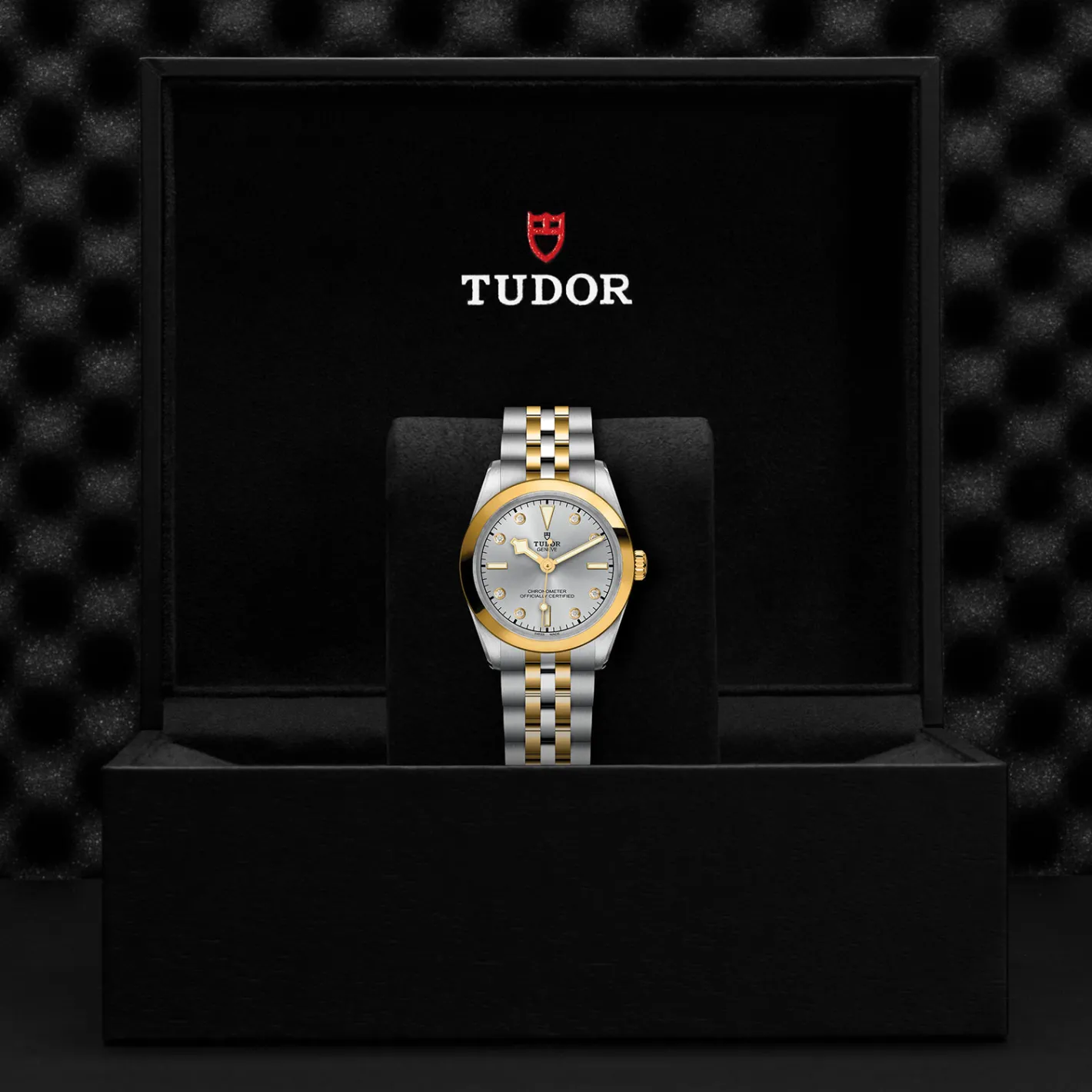 Tudor Black Bay 31 S&G Discount