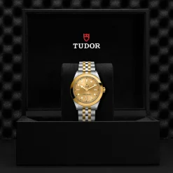 Tudor Black Bay 39 S&G Online