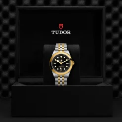 Tudor Black Bay 39 S&G Fashion