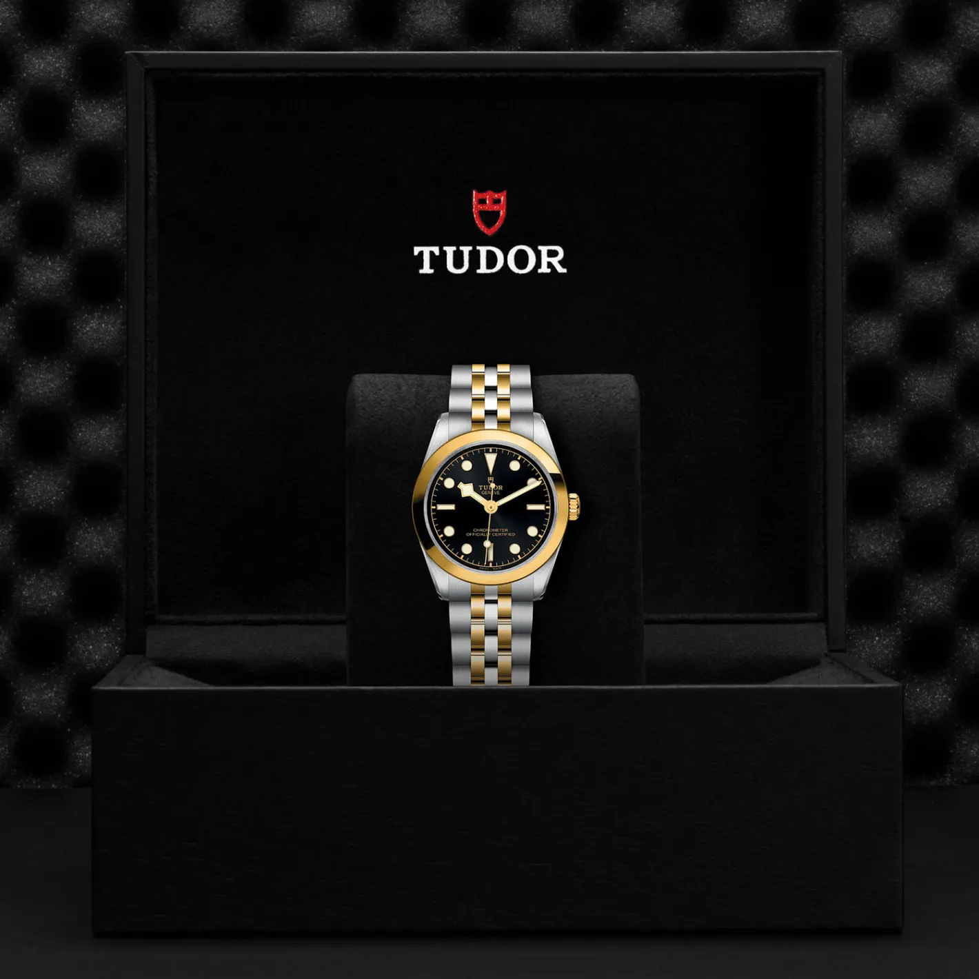 Tudor Black Bay 31 S&G Hot