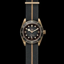 Tudor Black Bay Bronze Best