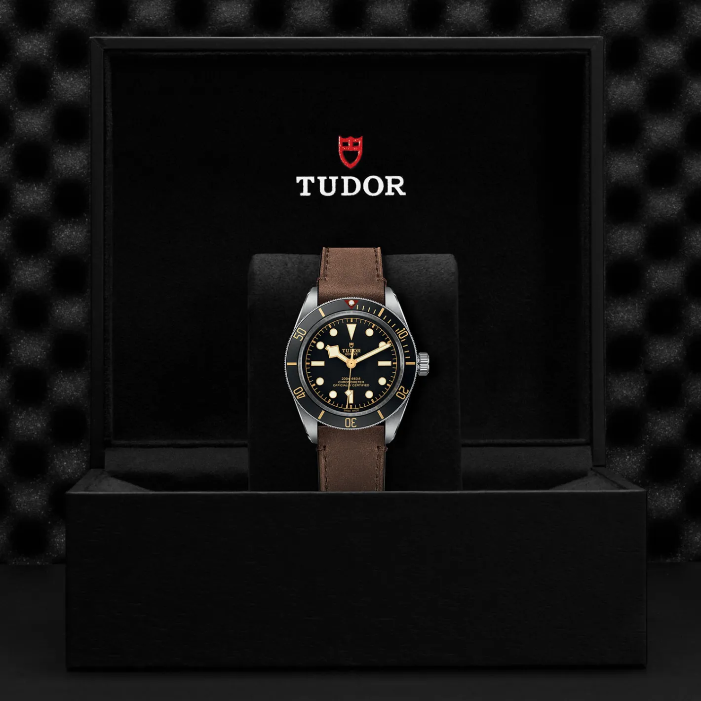 Tudor Black Bay Fifty-Eight Online