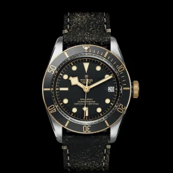 Tudor Black Bay S&G Sale